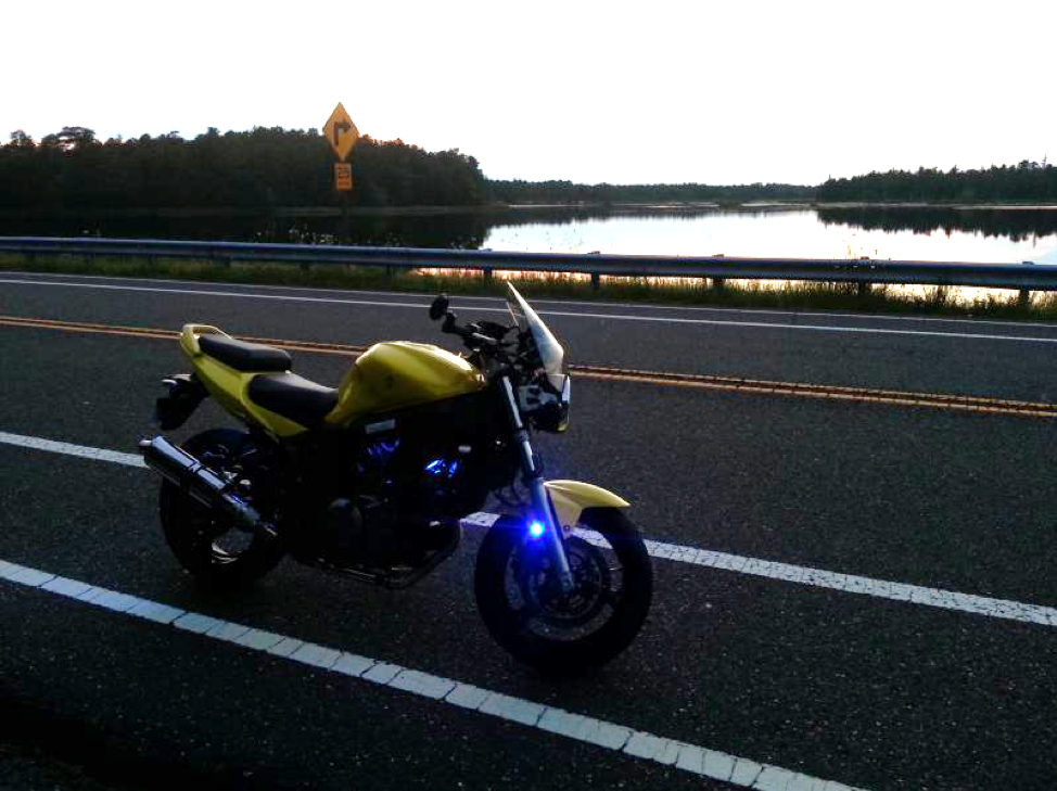 Tabernacle NJ Loop near cranberry bog