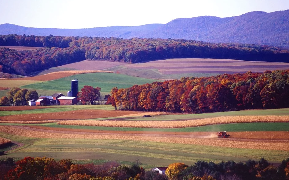 Photo near PA route 44 in north-central PA