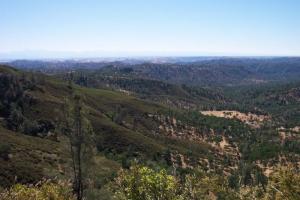 Platina Road - Curve Heaven