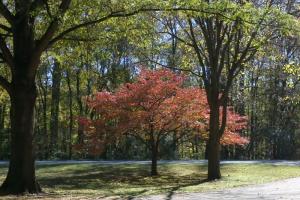 Natchez Trace Parkway