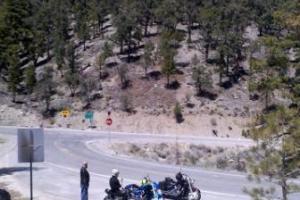 Mount Charleston Loop