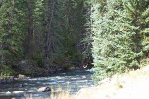 Route 3 to Marble Colorado