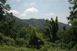 Diamond Back Loop (226 & 226A)