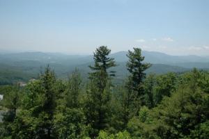 Diamond Back Loop (226 & 226A)