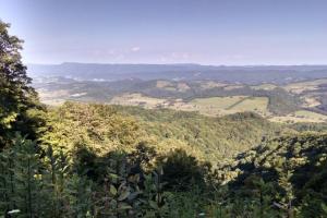 Virginia's State Route 16