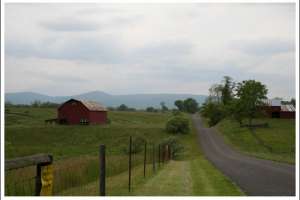 Jr Splendour on Hume Road-CR-635