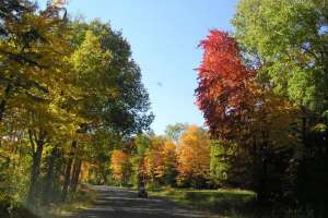 Boulder Junction Beauty