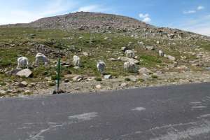 The "High 5" to Mt. Evans