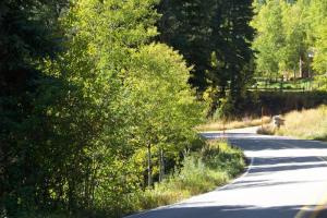 Route 3 to Marble Colorado